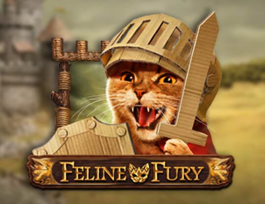 Feline Fury